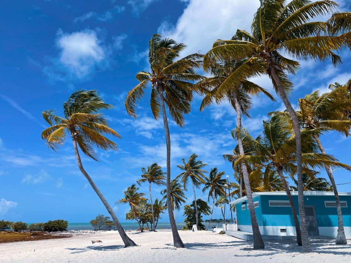 Tropic Isle Hotel & Apartment Hollywood Eksteriør bilde